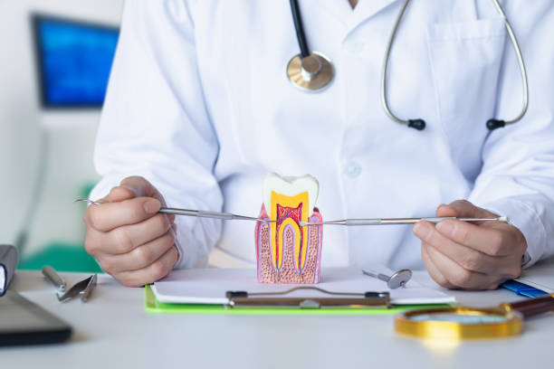 Best After-Hours Dental Trauma Care in Mount Hermon, CA